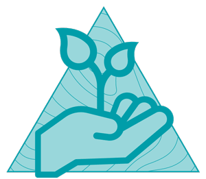 Environmental Management Plans